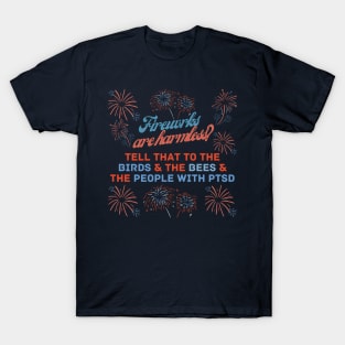 Fireworks are harmless? T-Shirt